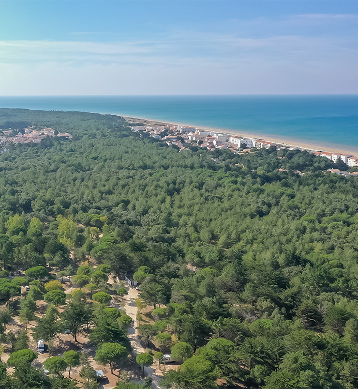 au cœur de la foret vendeenne