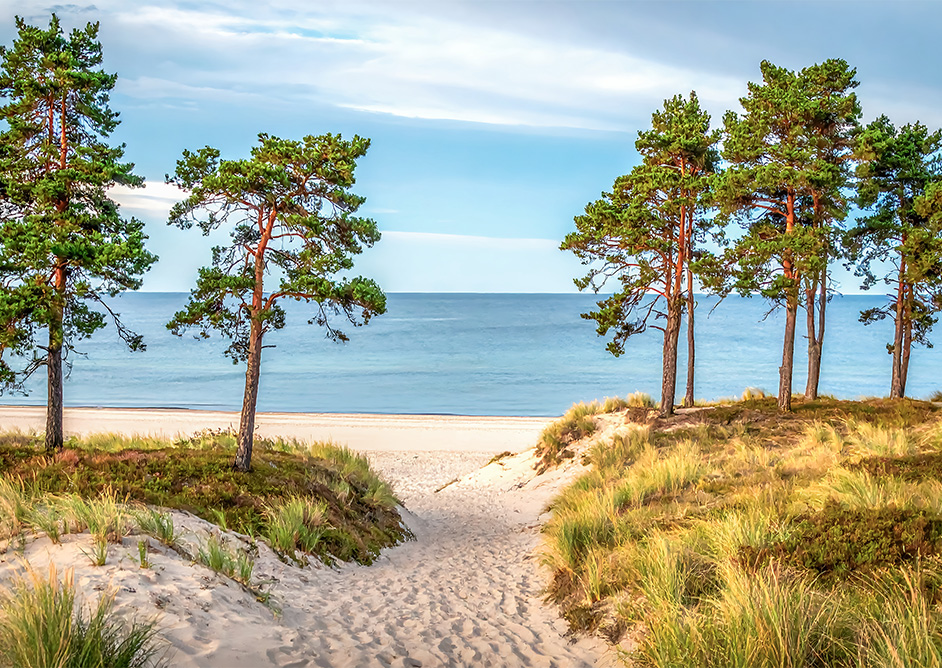 camping en bord de mer en vendee rejoindre la plage par la foret