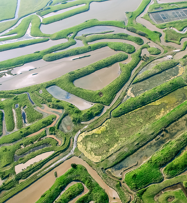 marais breton