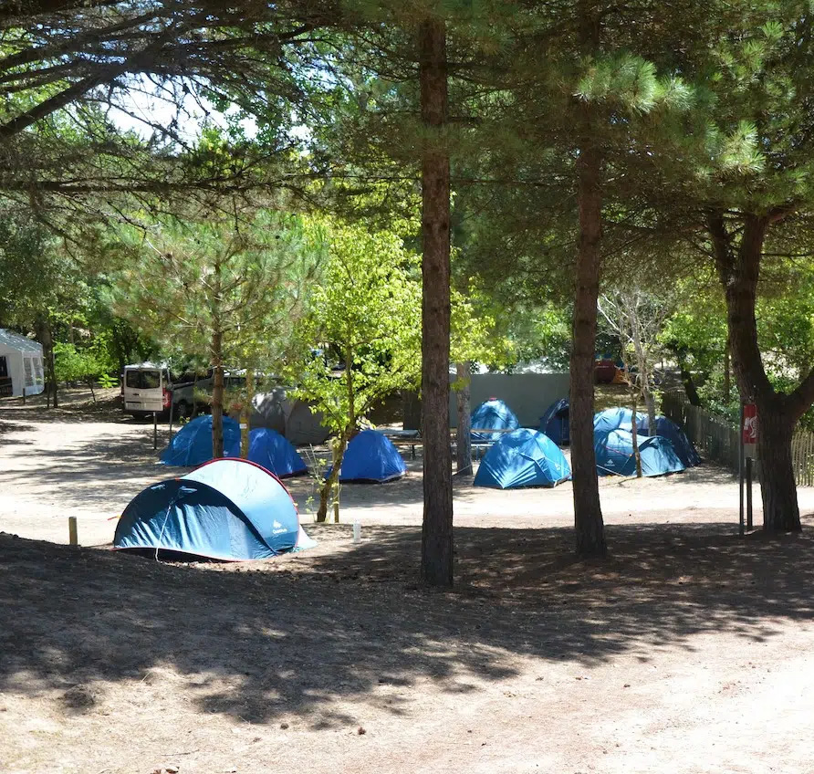 tentes orgatte