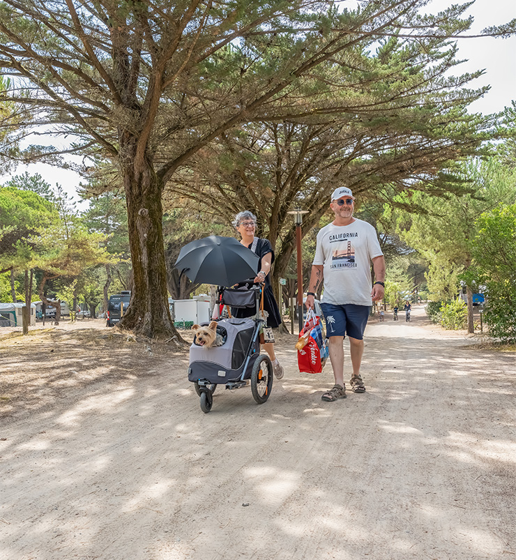 orgatte camping familial en vendee